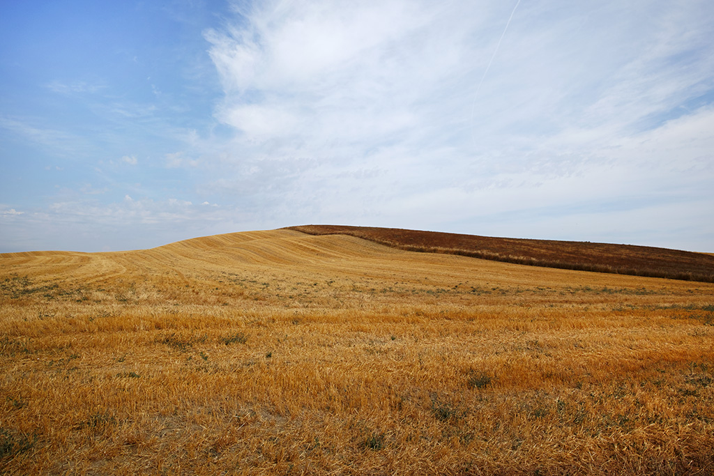 Stefano Vigni – Forma/ae – Siena dentro e fuori